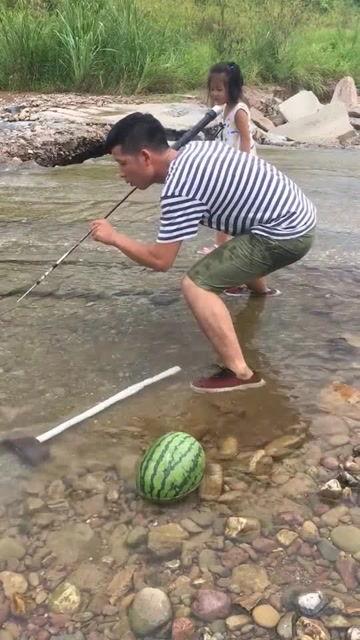 大鱼吃瓜娱乐,揭秘娱乐圈幕后故事