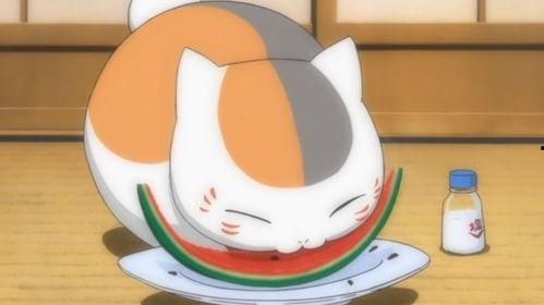 娱乐吃瓜酱棉袄猫窝